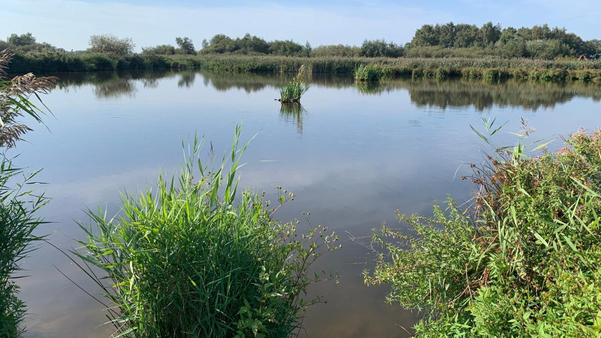 'T Paviljoenhus Bij Sneekermeer Offingawier Экстерьер фото